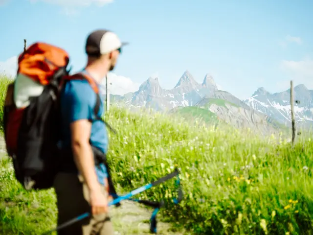 Deux personnes en tenue de randonnée, l'une tenant un bâton, marchant dans un champ de fleurs avec des montagnes enneigées en arrière-plan
