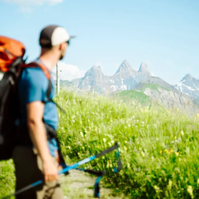 Deux personnes en tenue de randonnée, l'une tenant un bâton, marchant dans un champ de fleurs avec des montagnes enneigées en arrière-plan