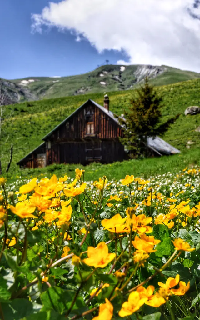 Chalet Montagne