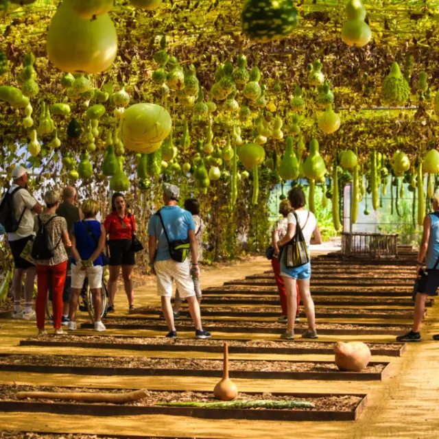 Le Potager Extraordinaire Credit La Claque Media 16 1024x683 1