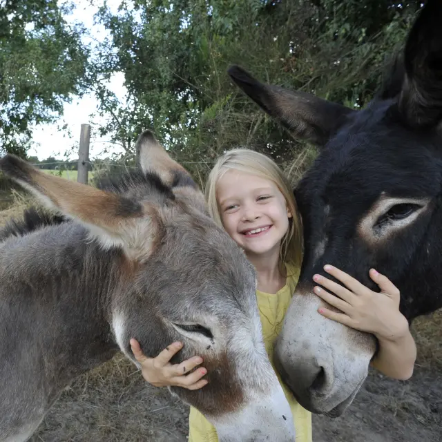L Asinierie Du Bois Gamats