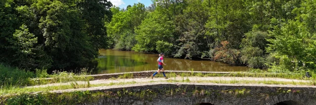 Trail