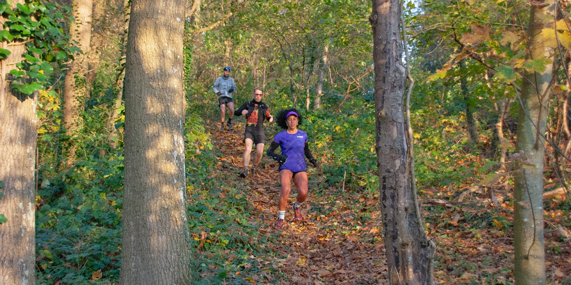 November Trail