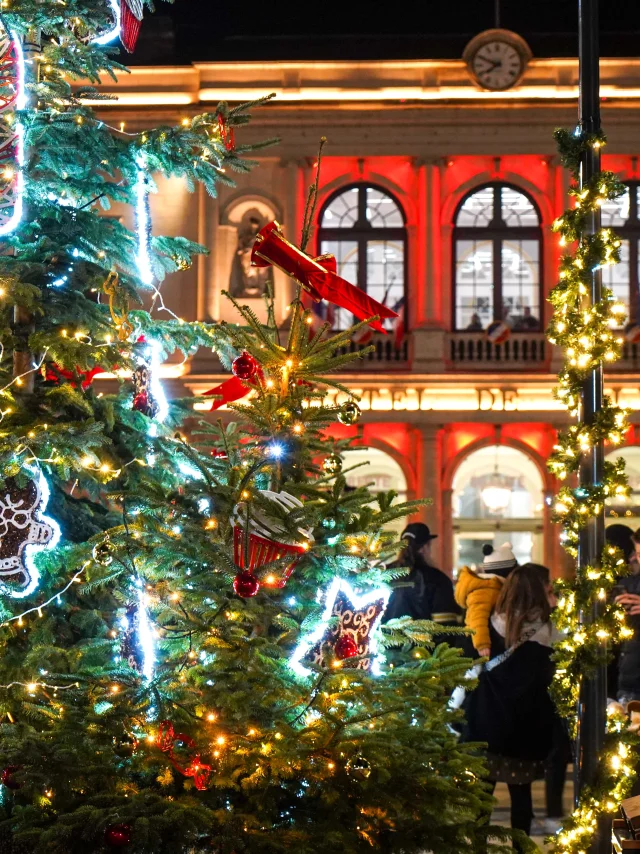 Les Lumières De Laval 2024
