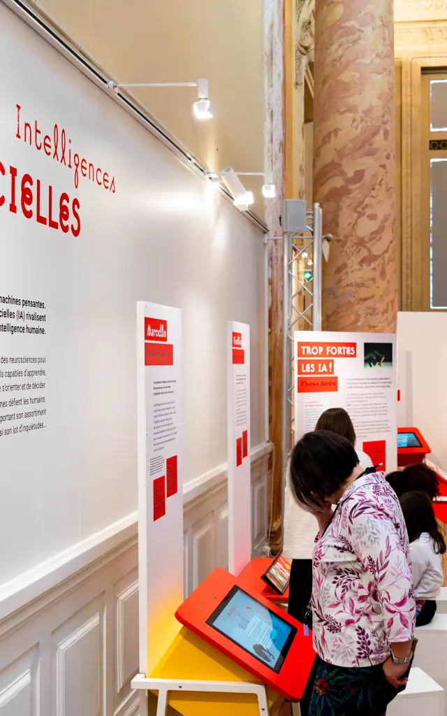 Genial Chloe Brehin 14