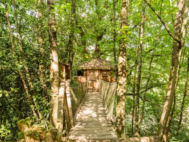 Cabane Perchee