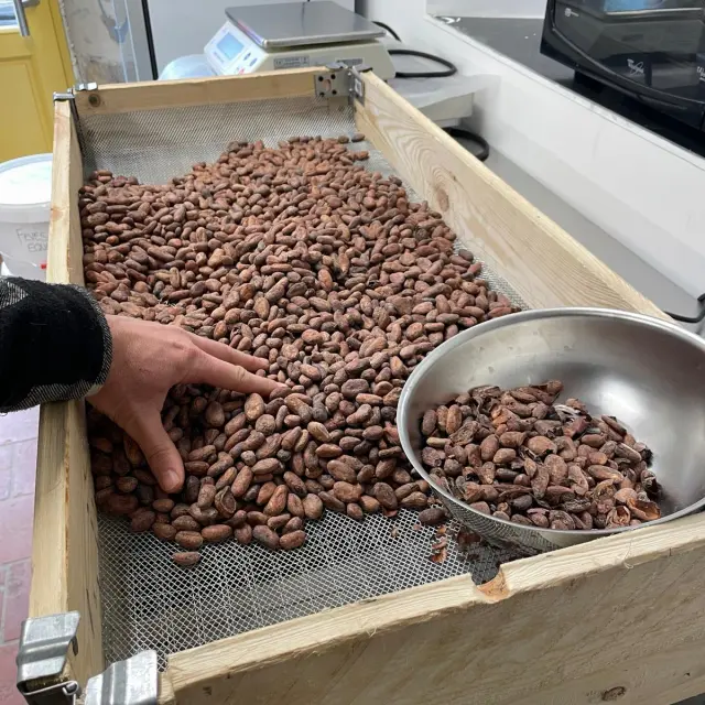 473008521 122211350972234364 281515895237123663 N