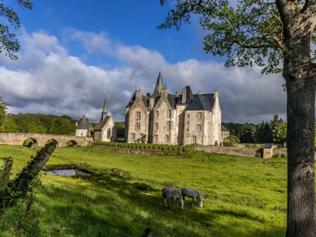 Chateau-de-Bourgon-sparadra53.png