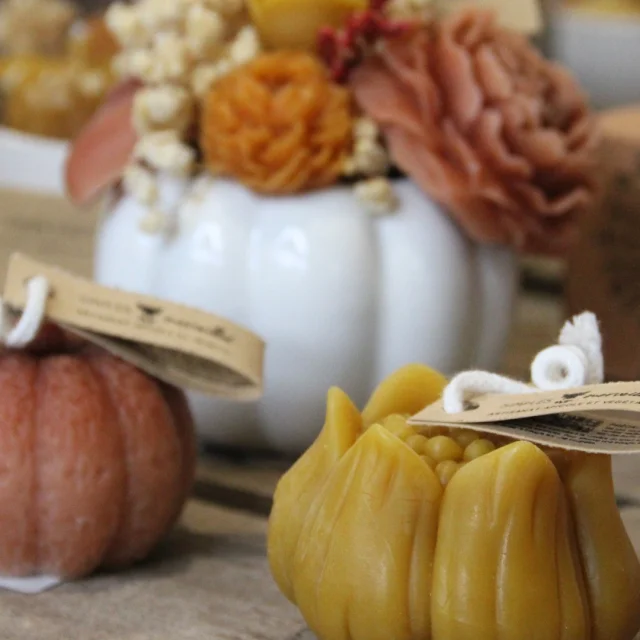 Instagram #lavaltourisme