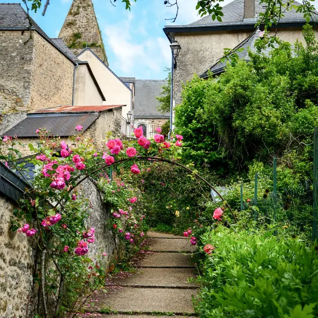 1658da36 5de6 438e A6ef Fad80979bc35