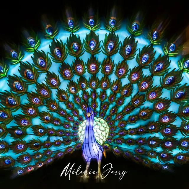 Instagram #lavaltourisme