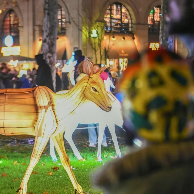 Instagram #lumieresdelaval