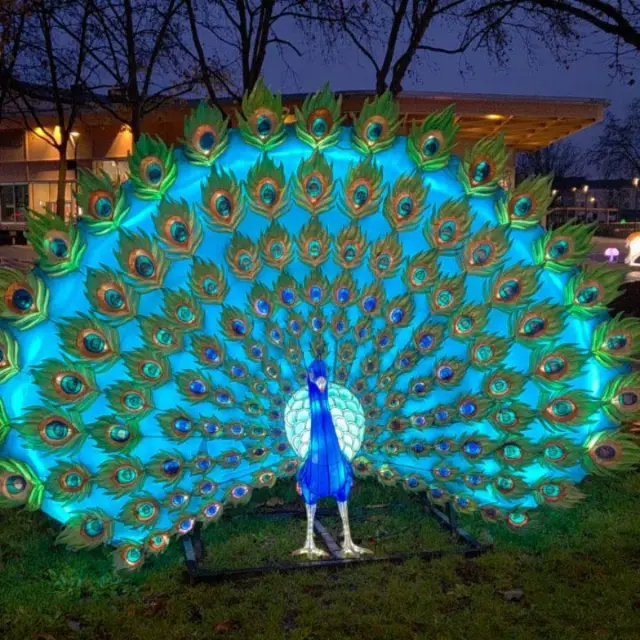 Instagram #lumieresdelaval