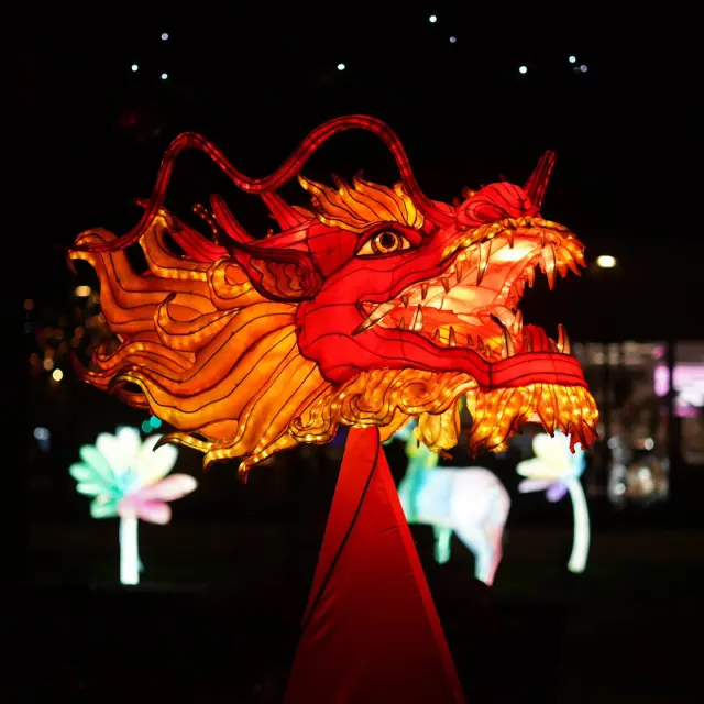 Instagram #lumieresdelaval