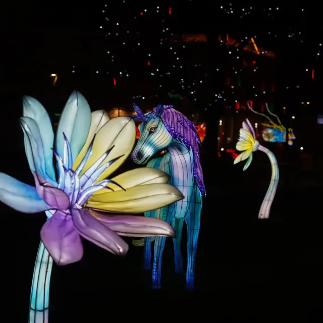 Instagram #lumieresdelaval