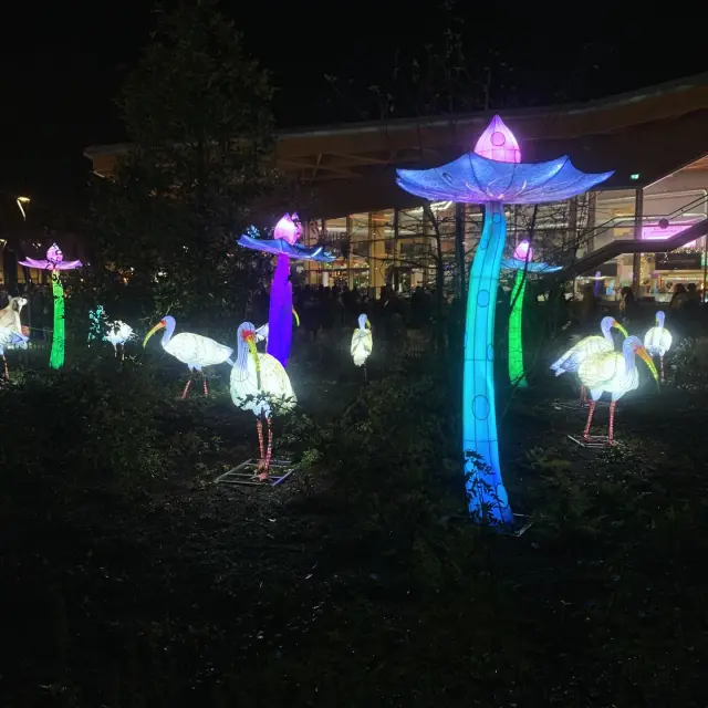 Instagram #lumieresdelaval