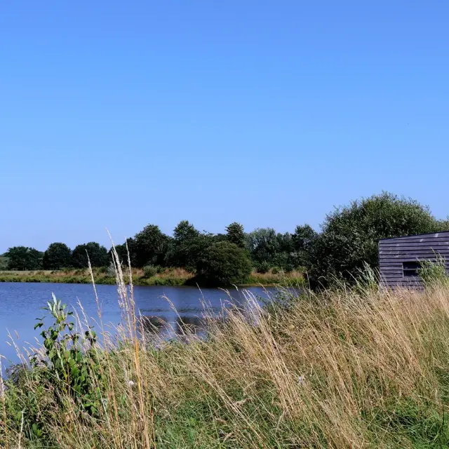 C89f088f 4f54 4624 Ab5c A9ba8fca53c6