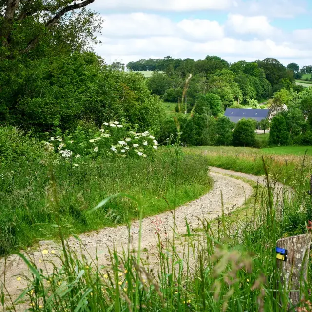 E9af8395 9248 4989 Bd14 288a7de2deea