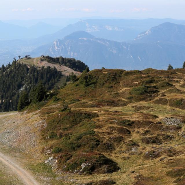 ad7i7265.jpg