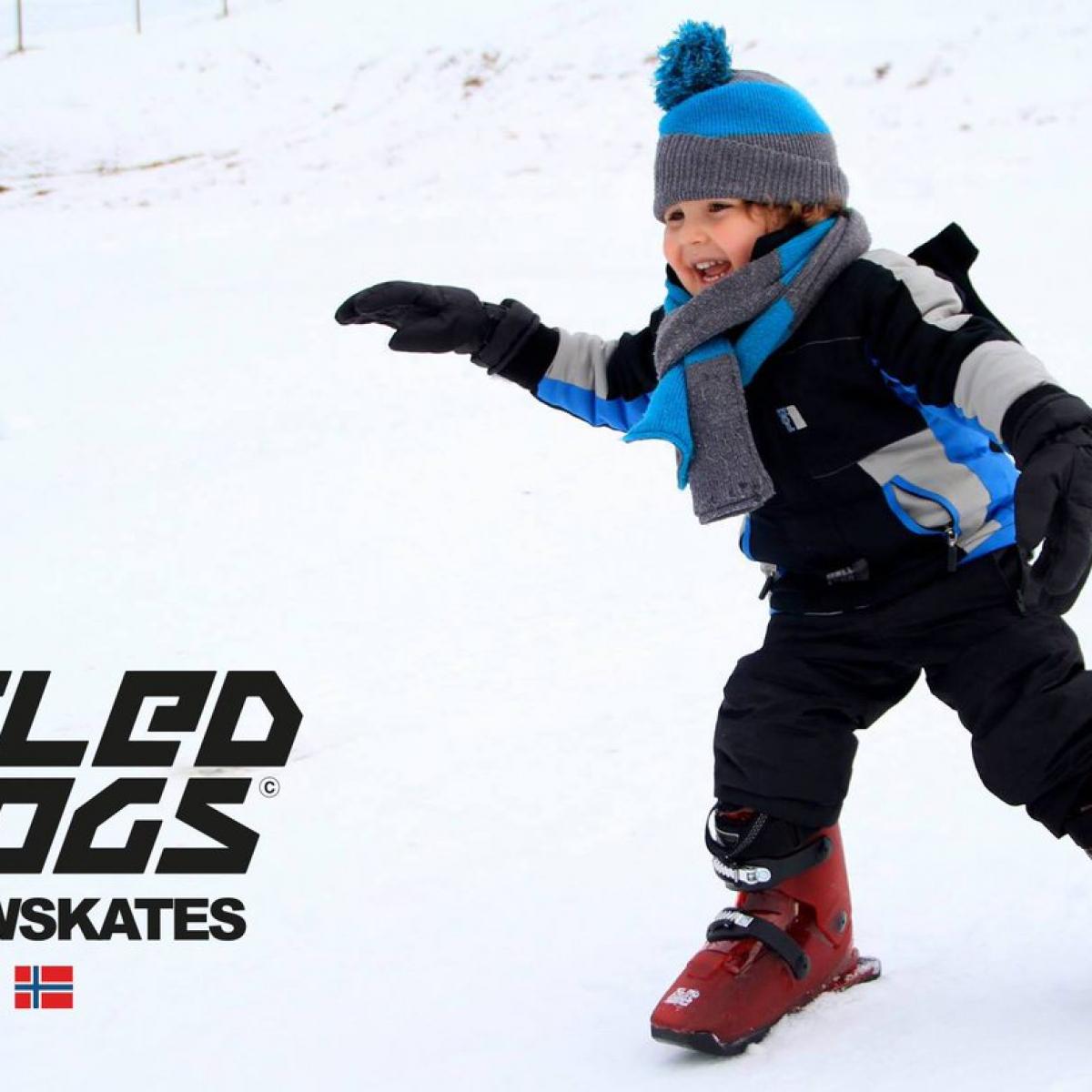 Découvrir le sled dogs snowskates ou « patins à neige » la nouvelle glisse originale au Collet