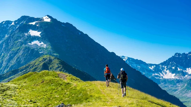 2020 Collet Intern krediet 18