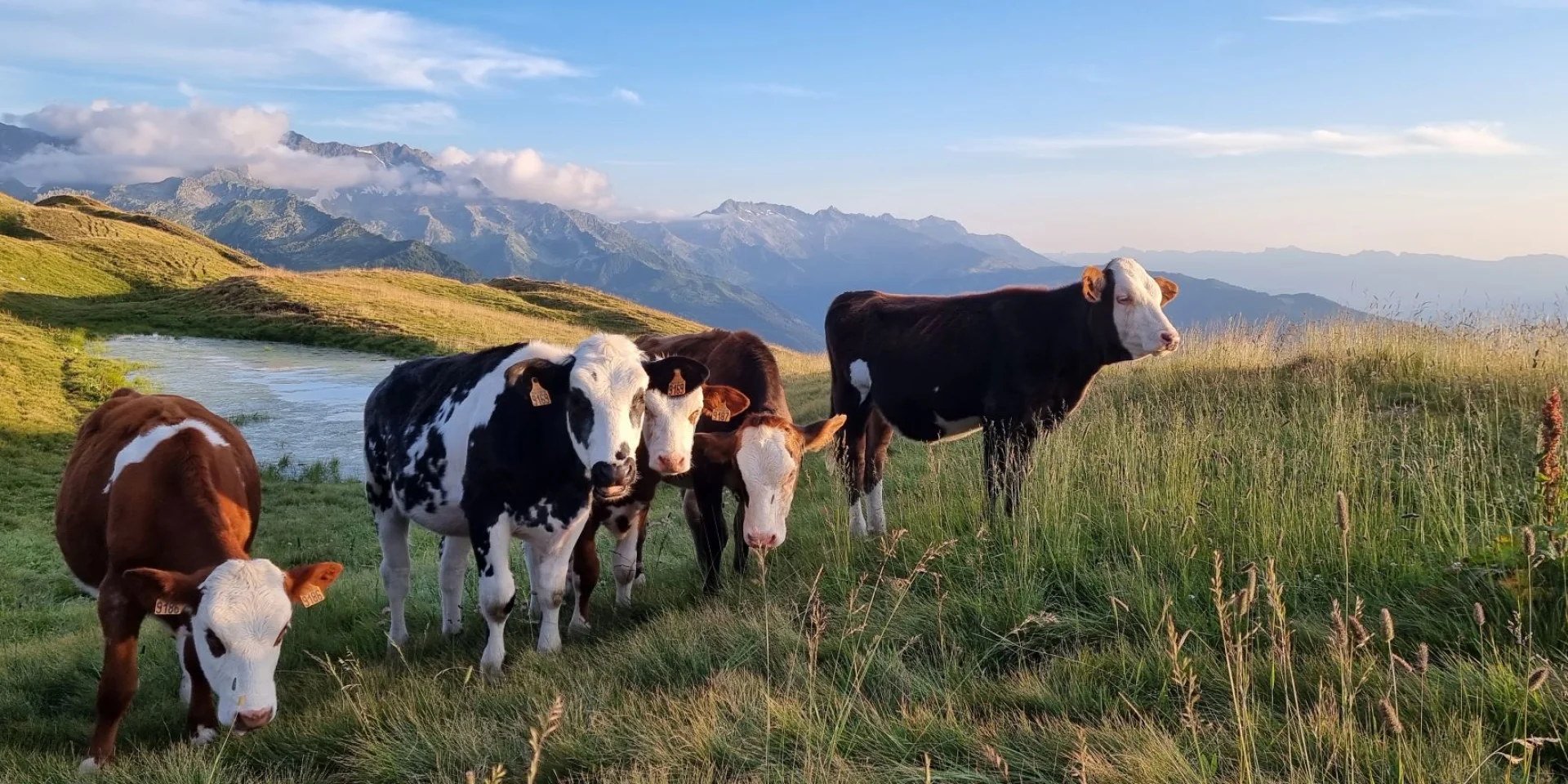 2023 Le Collet Paysages Internal 35