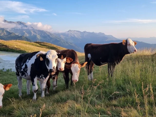 2023 Le Collet Paysages Interne 35