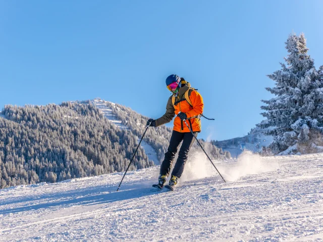 Ski Solo au Collet - 2023 - Michael Mollier