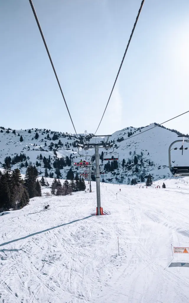 Collet Journee Des Bosses 19022025 Marie El Hajal 125