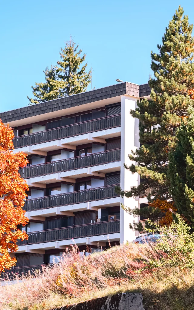 Accommodatie Le Collet Automne 14102025 Marie El Hajal 09