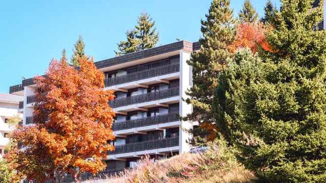 Hébergement Le Collet- 2025 - Marie El Hajal