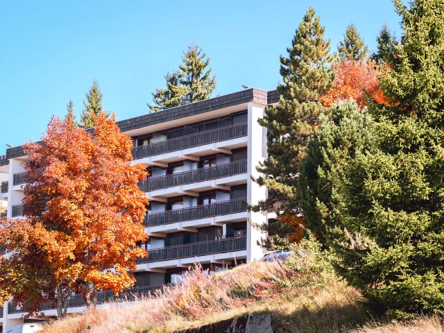 Accommodation Le Collet Automne 14102025 Marie El Hajal 09