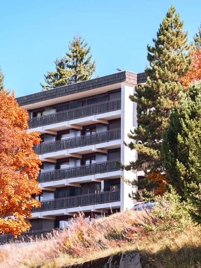 Accommodation Le Collet Automne 14102025 Marie El Hajal 09