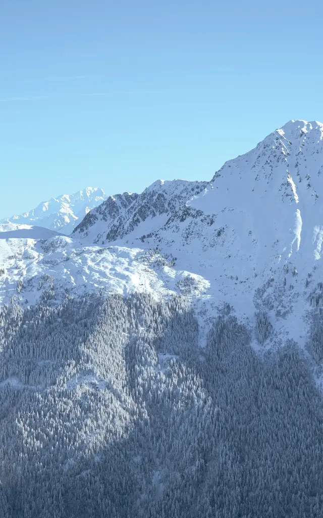 Paysage au Collet 2026