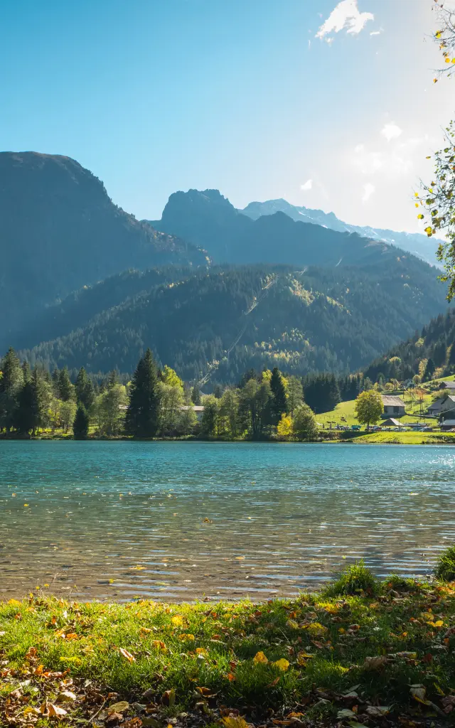 Fond de France dans le Haut Bréda en été 2022 par Alain Doucé