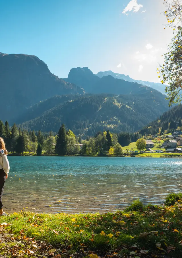 Fond de France dans le Haut Bréda en été 2022 par Alain Doucé