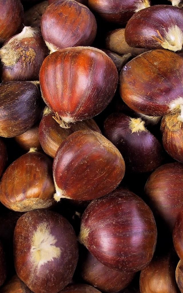 Shutterstock 2179031