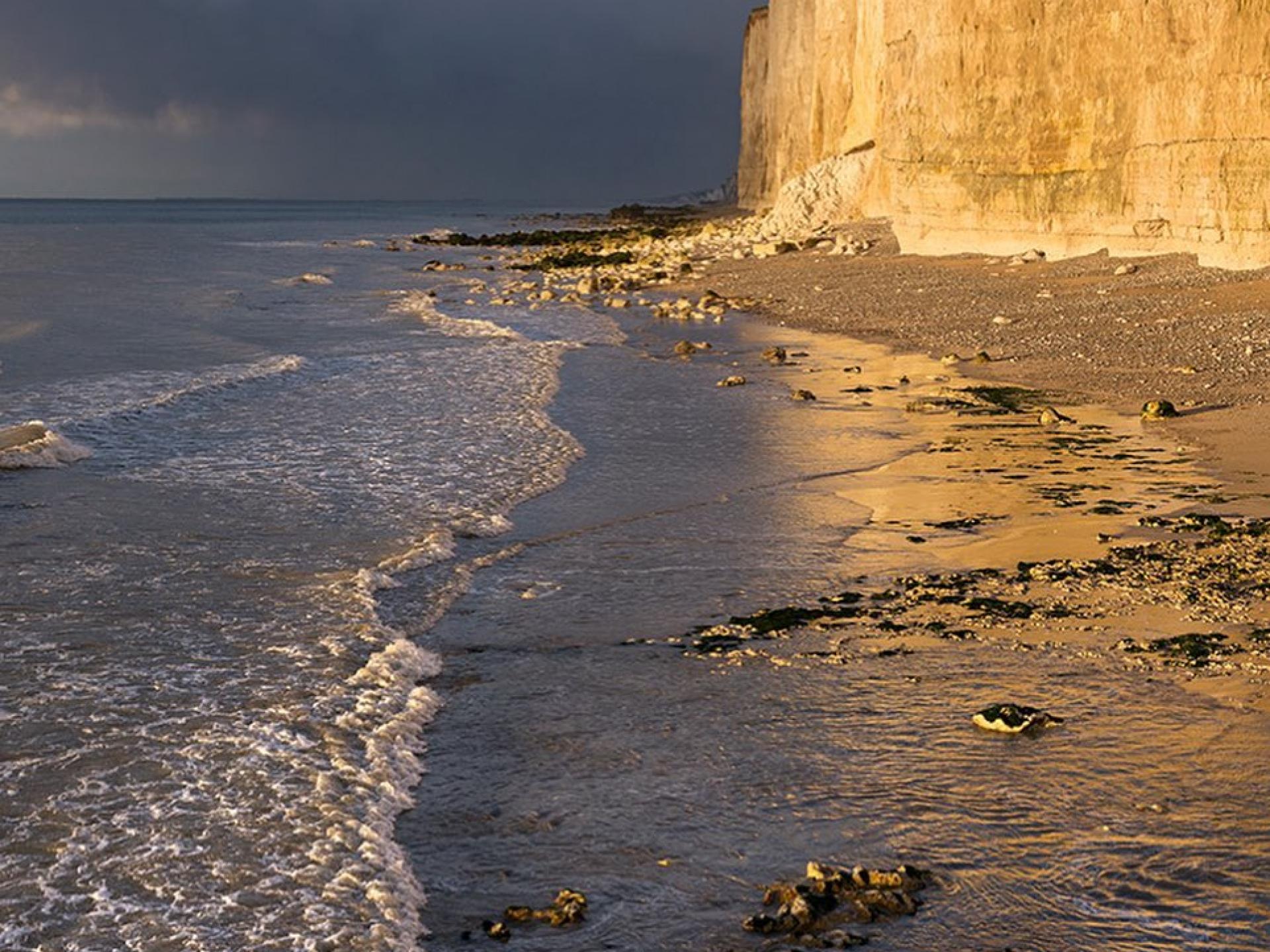 Le Tréport Destination LE TREPORT MERS