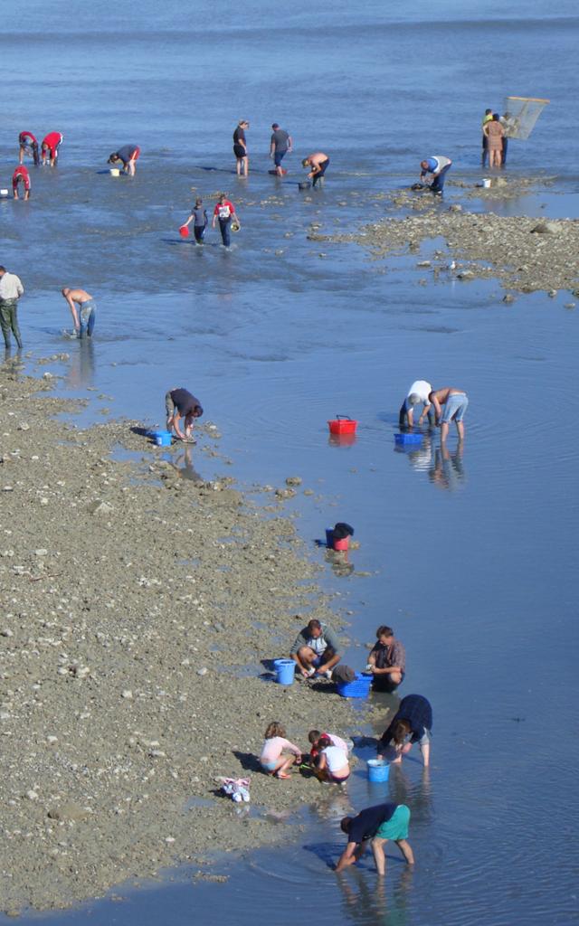 02 Marée Basse