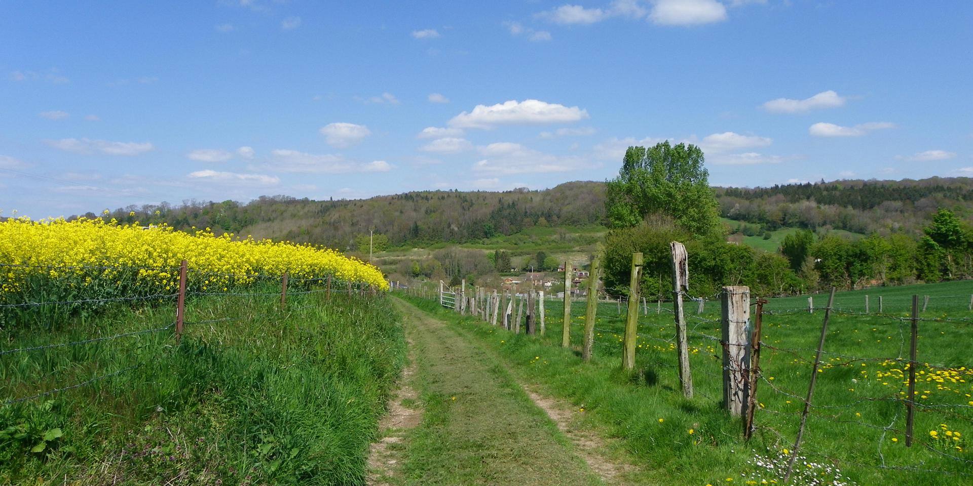 Destination Le Treport Mers Saint Pierre En Val Foret Eu Boucle De Beaumont