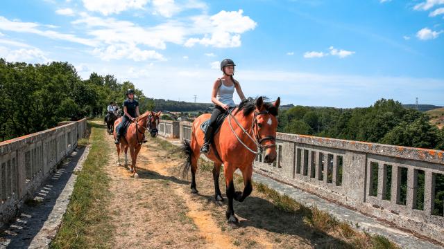 Randonnée à cheval