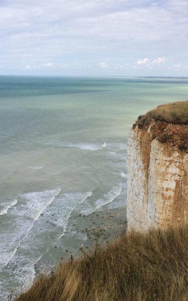 Instagram #letreport