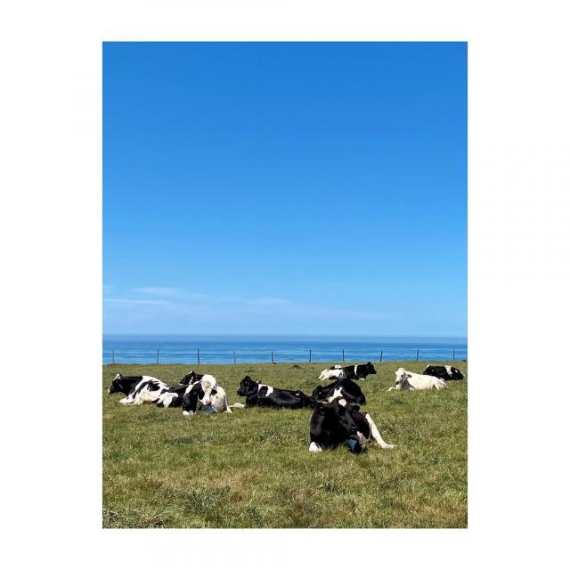 Instagram #ault