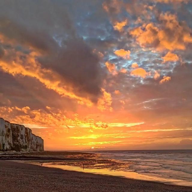 Instagram #letreport