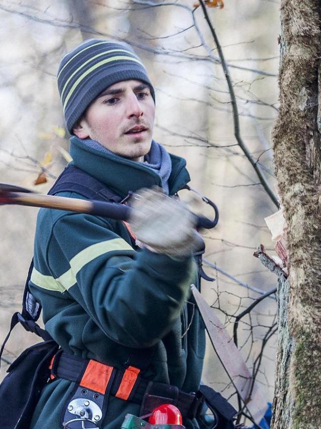 Martelage En Forêt D Eu © Onf Frédéric Glon