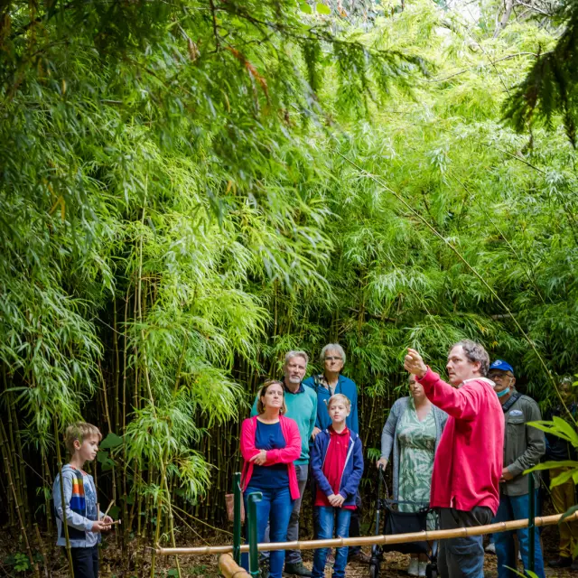 Jardin Jungle à Eu, plongez dans cet espace végétalisé unique en Normandie. Charles, son propriétaire vous emmène à la découverte des espèces végétales endémiques ramenées de ses différents voyages