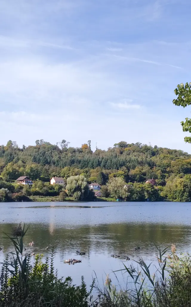 Incheville Etangs 07 M. Bosse Panelle