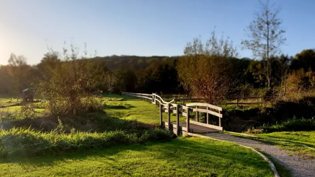 Criel Parc Manoir De Briancon 02 M. Bosse Panelle