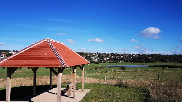 Criel Zone Humide Chemin Des Soupirs 02 M. Bosse Panelle