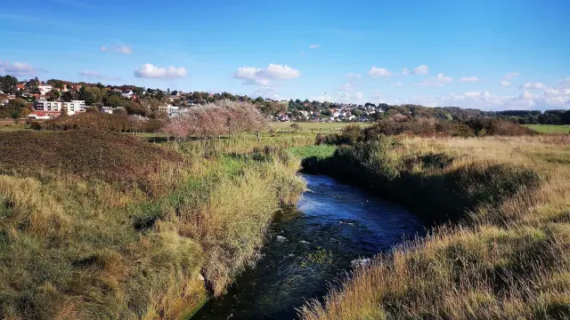Criel-sur-Mer, les prés salés où l'Yères s'écoule doucement vers la mer